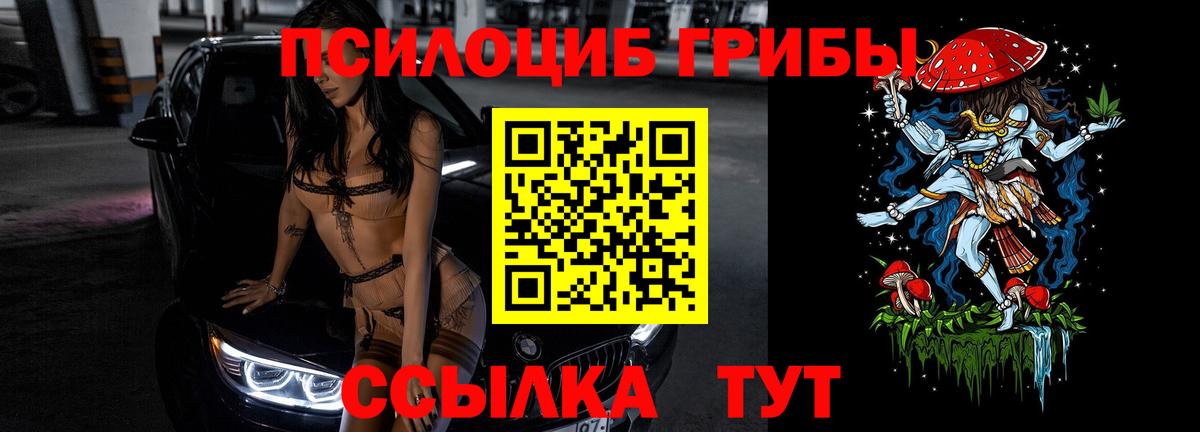 Псилоцибиновые грибы мицелий Коммунар