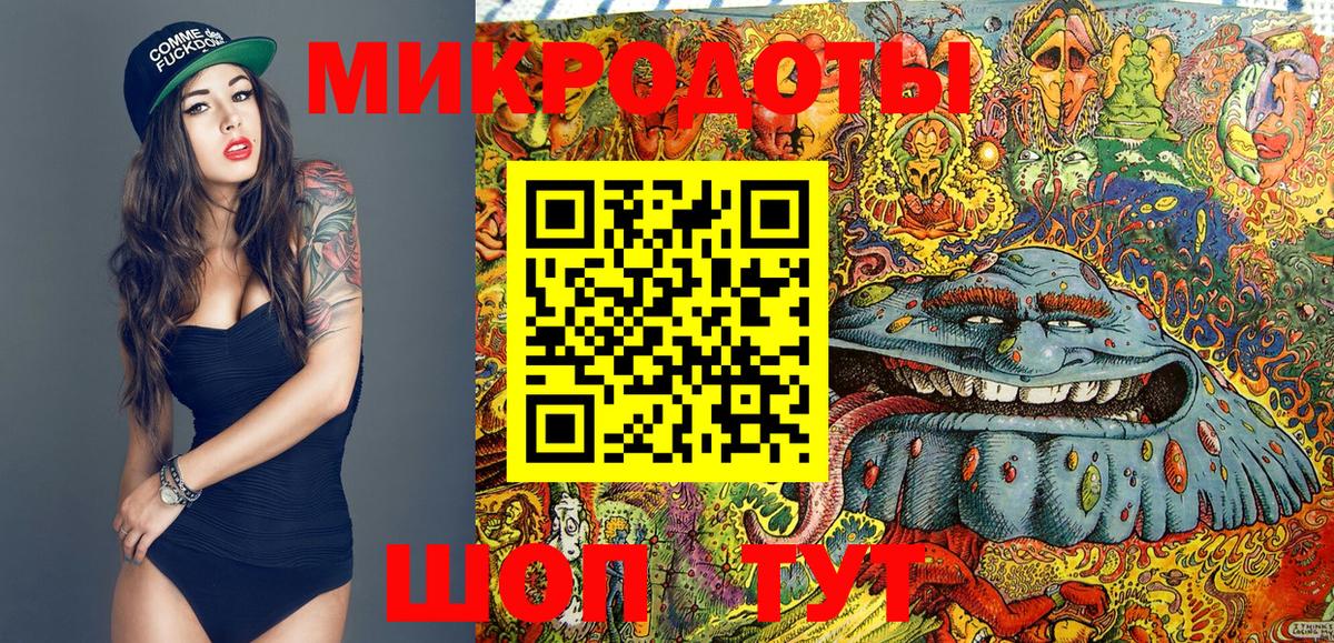 Коммунар  Псилоцибиновые грибы прущие грибы  Вход с VPN 